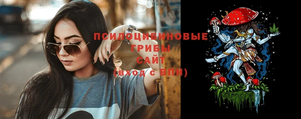 spice Арсеньев