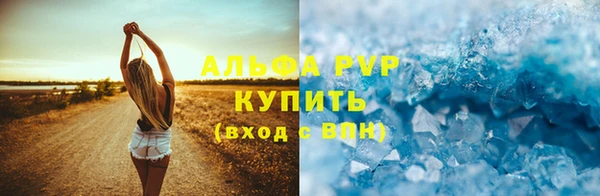 стафф Россошь