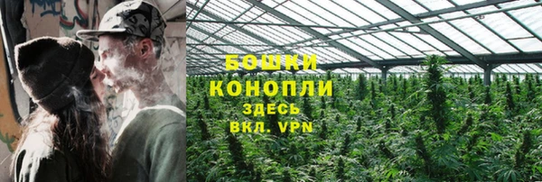 ECSTASY Армянск