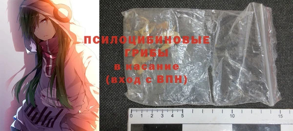 spice Арсеньев