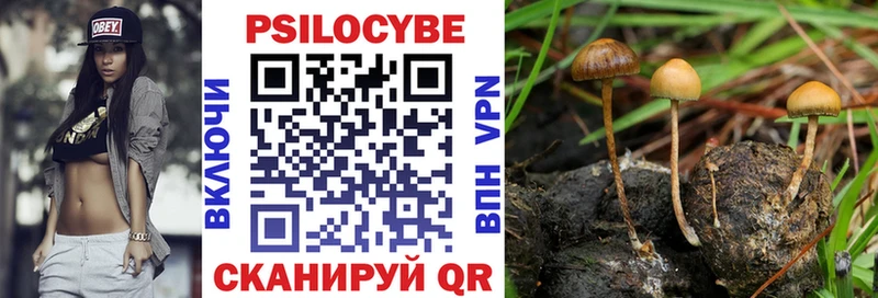 Псилоцибиновые грибы MAGIC MUSHROOMS  мега ССЫЛКА  Асбест 